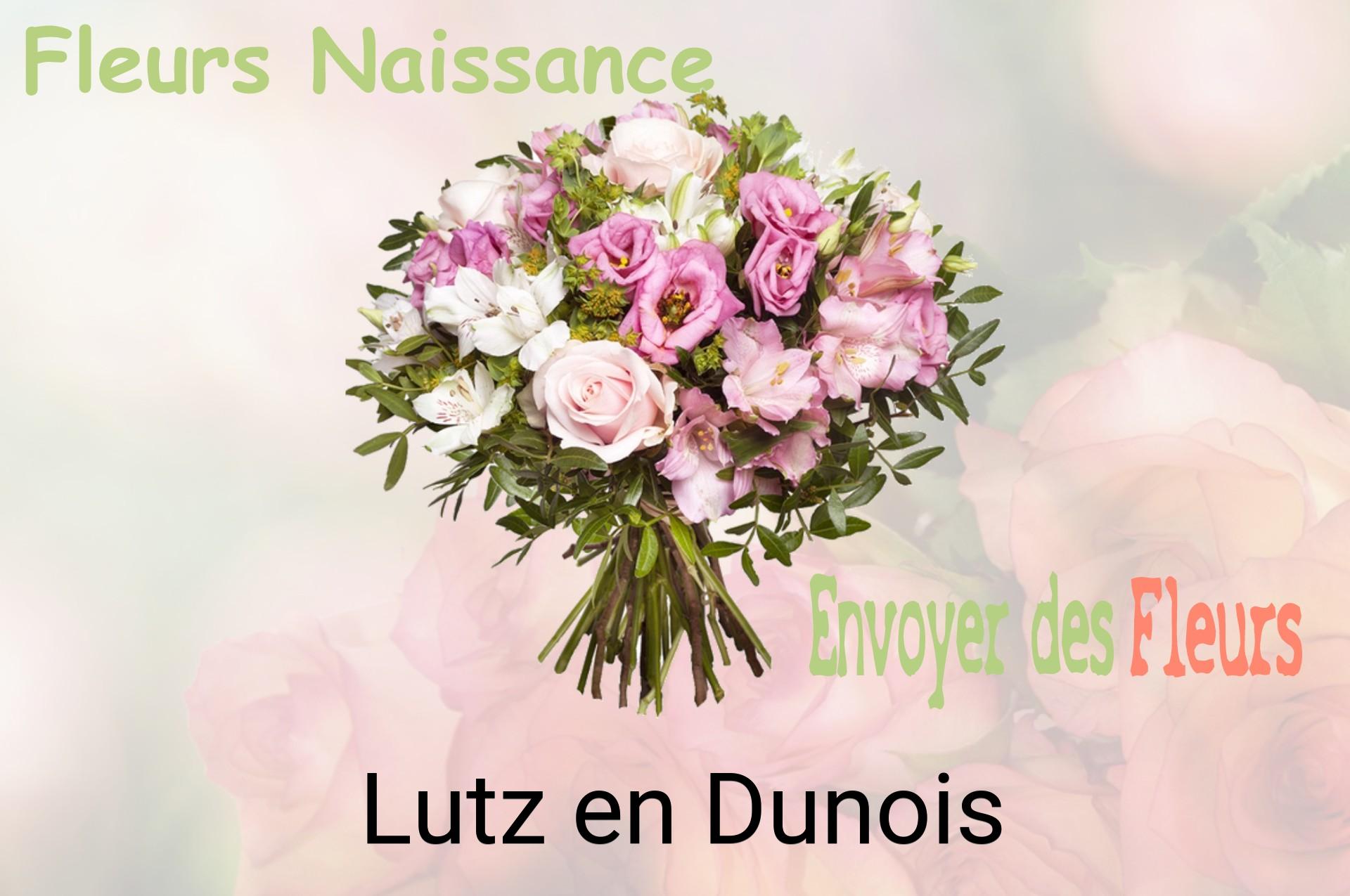 Bouquet de fleurs de naissance livré à Lutz-en-Dunois